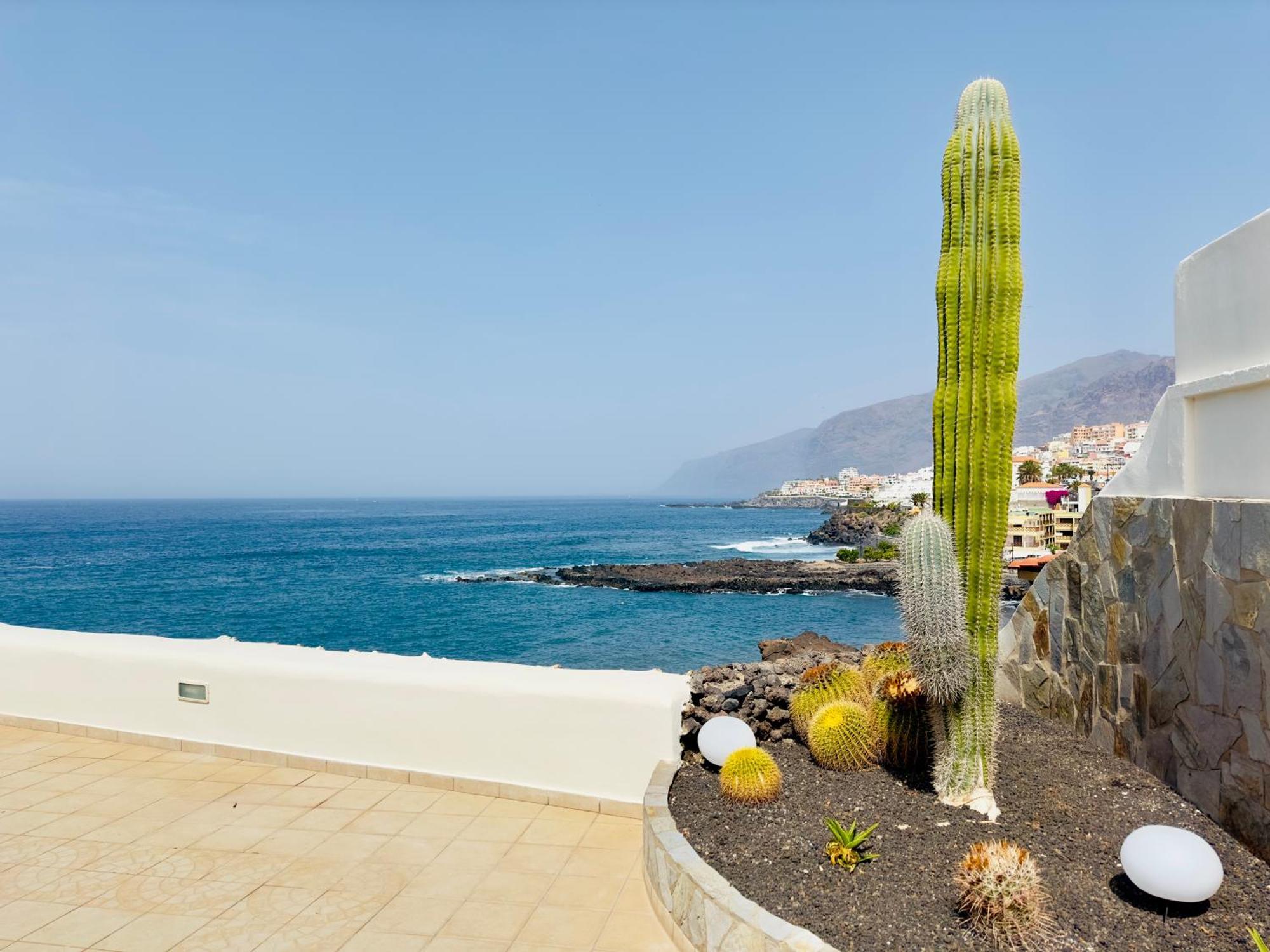 Beachfront Villa And Pool Puerto de Santiago  Exterior photo